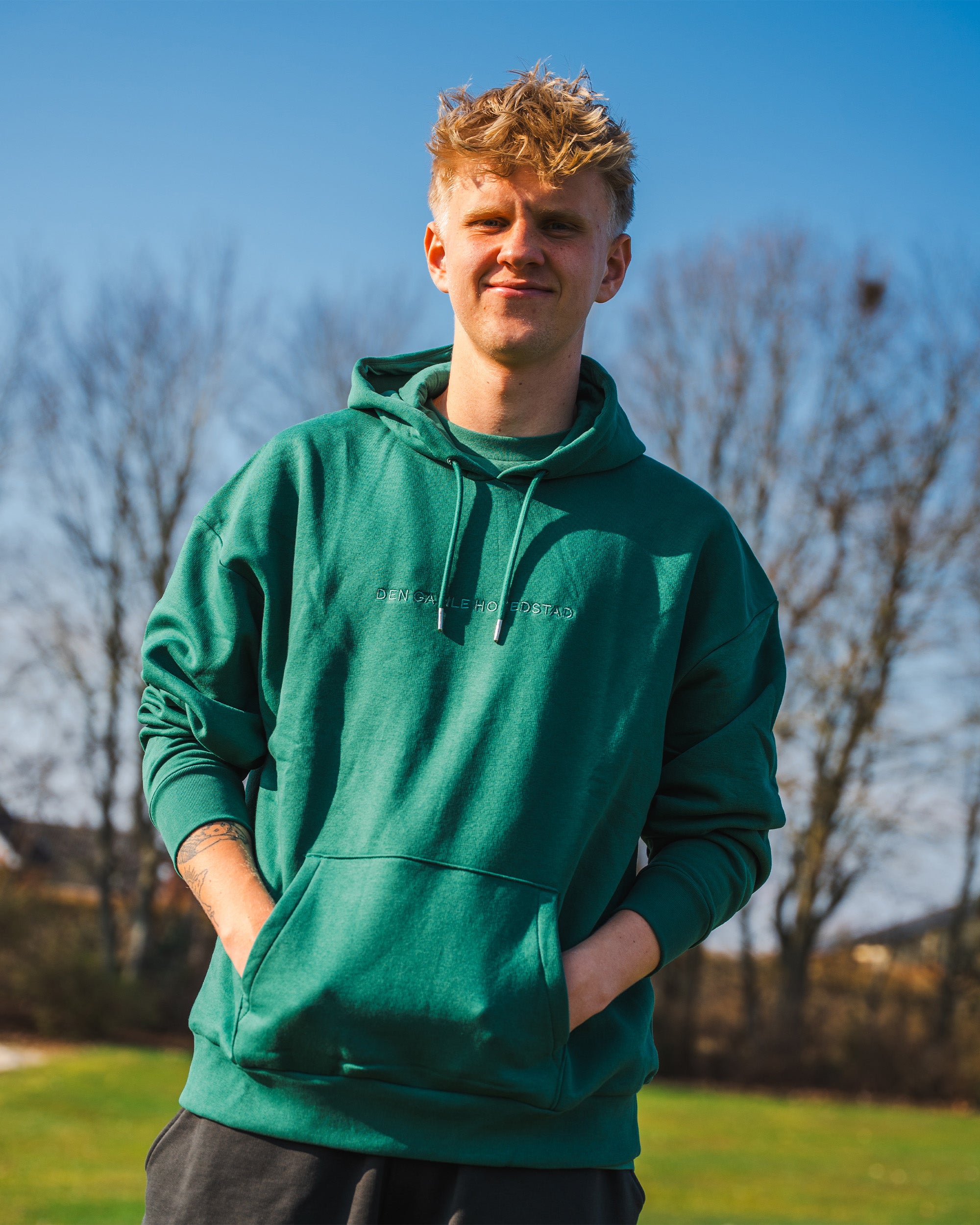 Viborg FF - DGH Hoodie Grøn