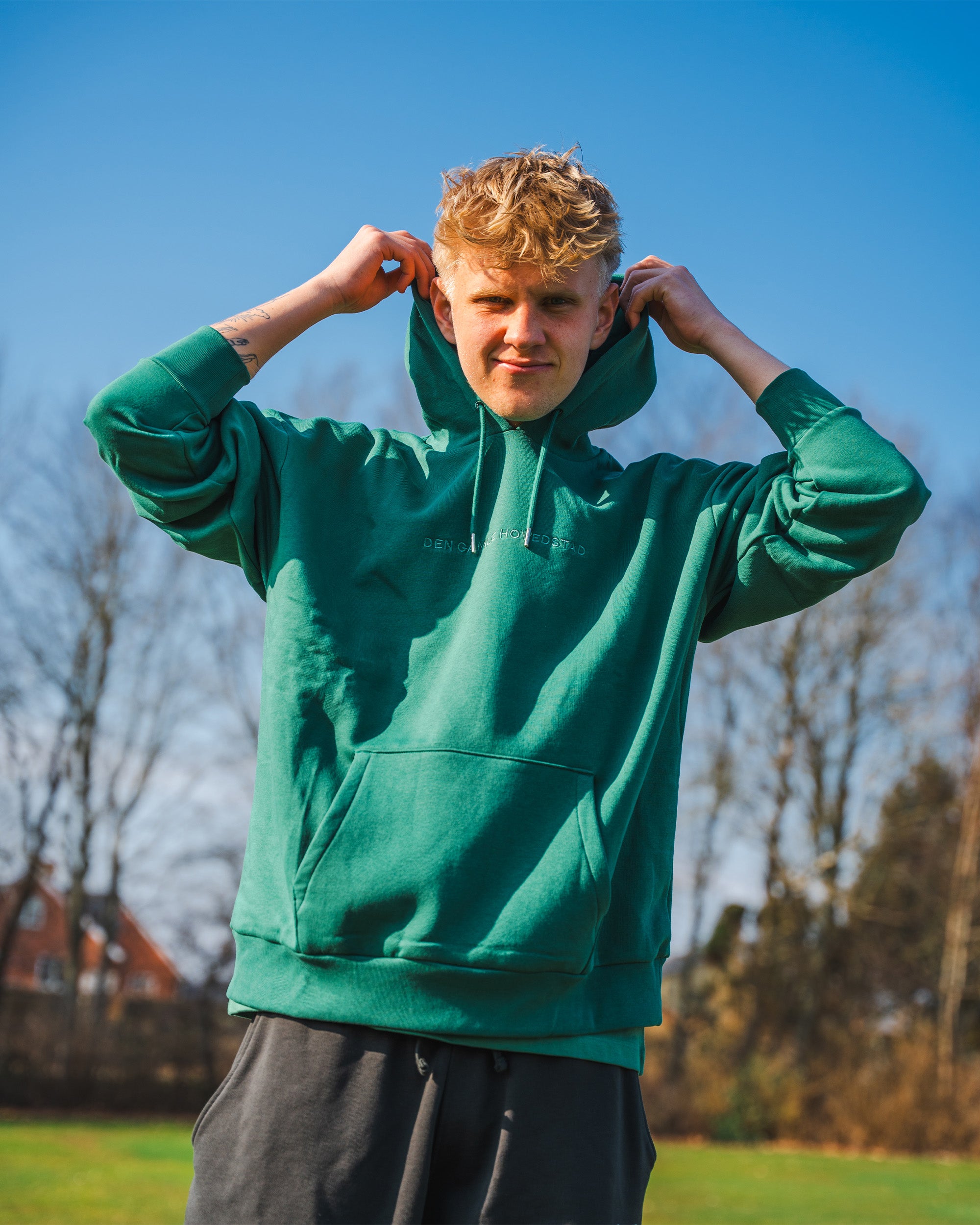 Viborg FF - DGH Hoodie Grøn