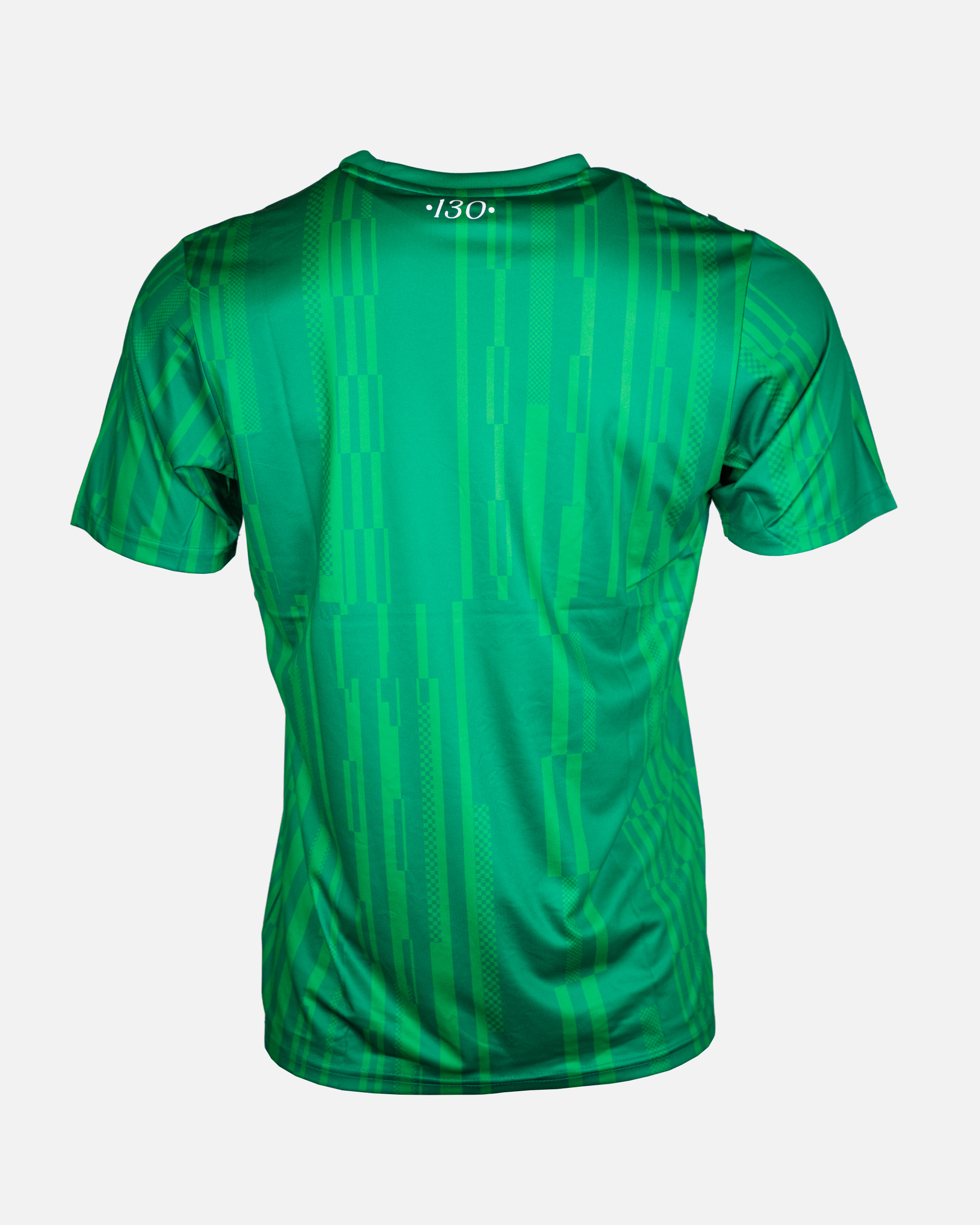 Viborg FF Opvarmnings T-shirt 25/26