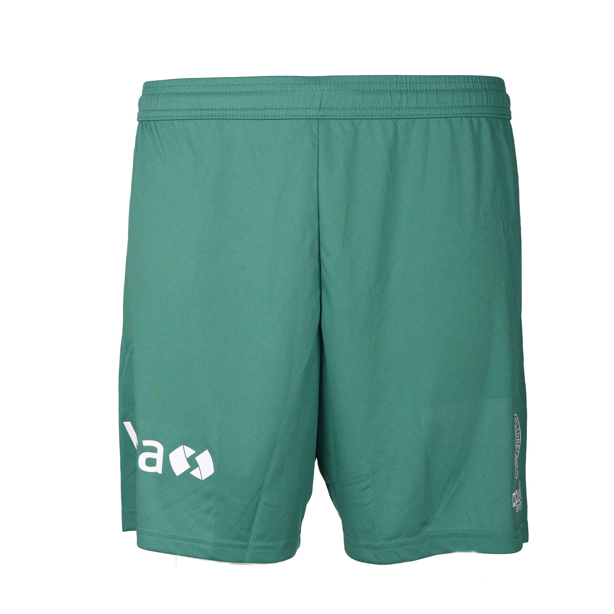 VFF Udebaneshorts 23/24