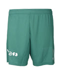 VFF Udebaneshorts 23/24